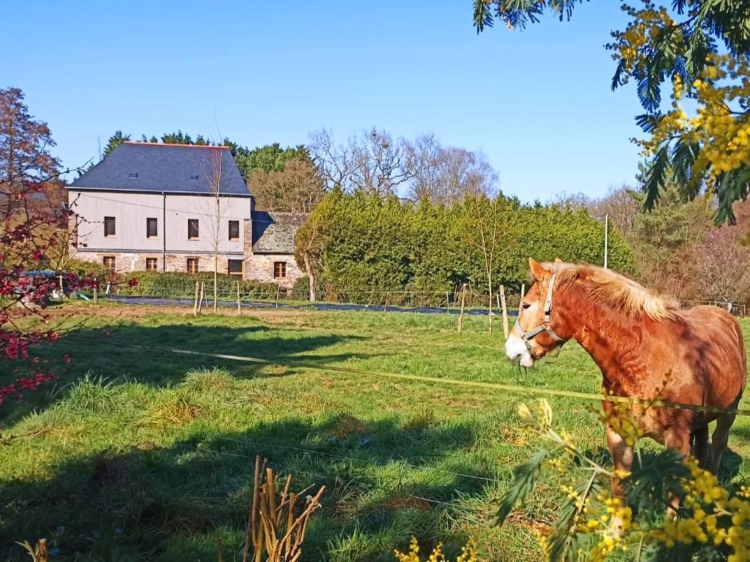 Chambre D'Hote En Gite - Moulin De La Houssaie - Broceliande Guer Eksteriør bilde