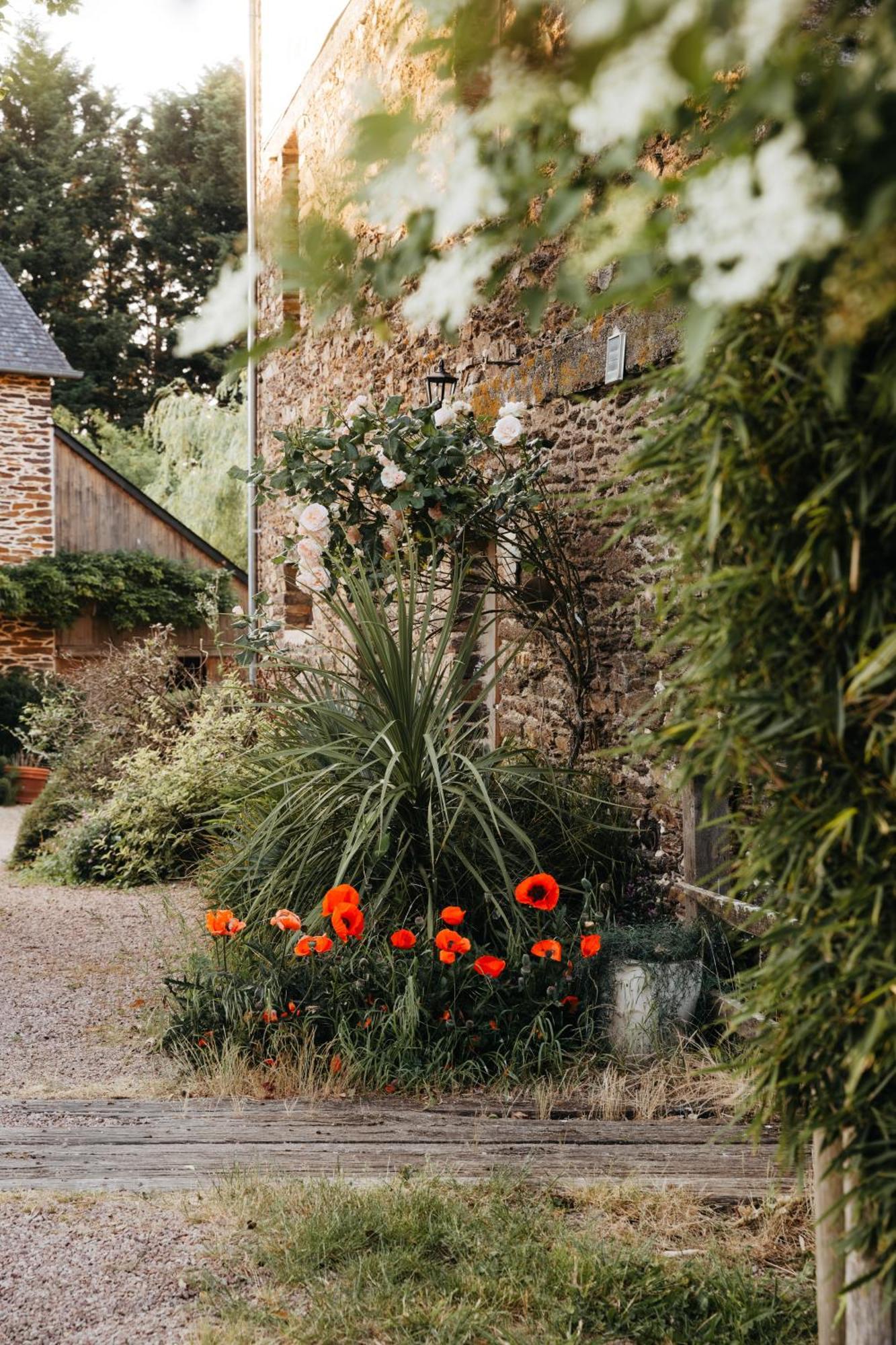 Chambre D'Hote En Gite - Moulin De La Houssaie - Broceliande Guer Eksteriør bilde