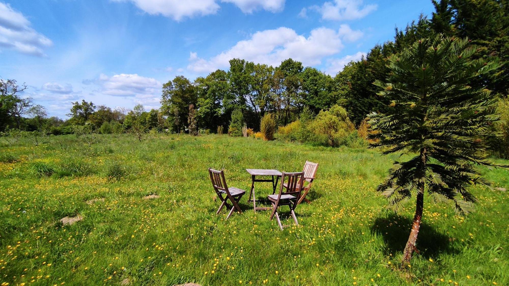 Chambre D'Hote En Gite - Moulin De La Houssaie - Broceliande Guer Eksteriør bilde